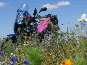 france - moto